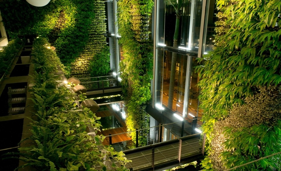 Định nghĩa Biophilia