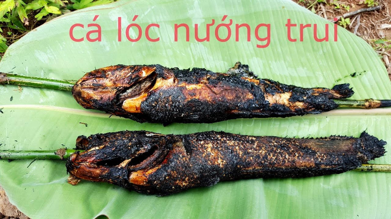 Cá lóc nướng trui 